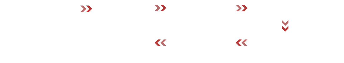 農場から食卓までの流れ