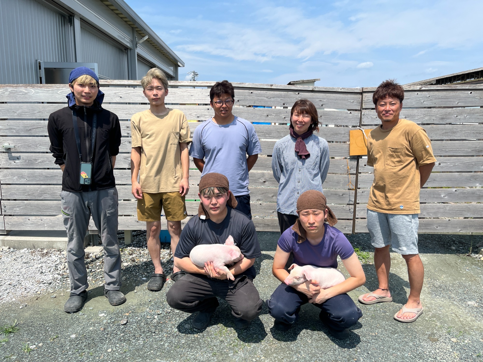 秀麗豚は私達が育てています