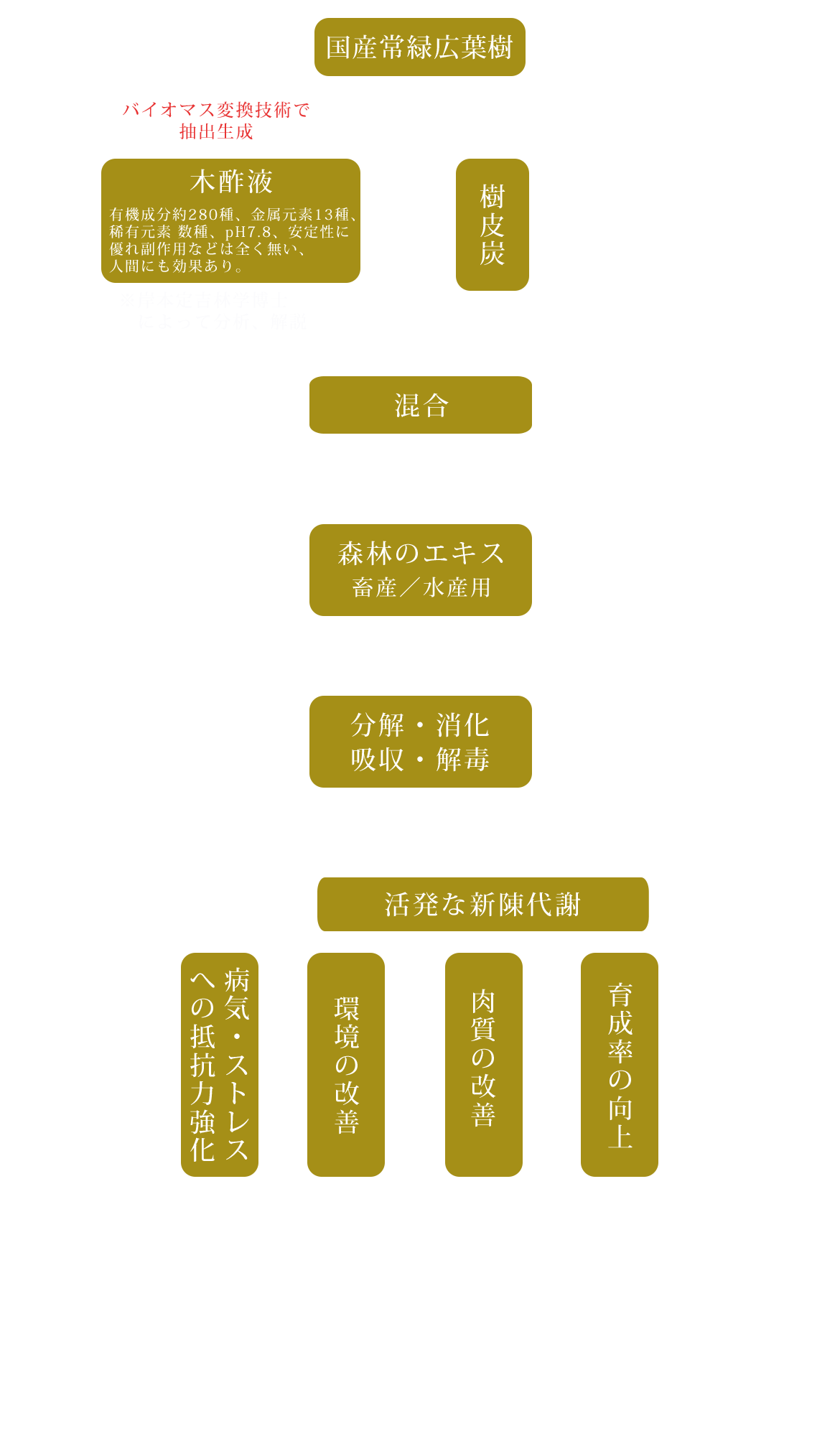 国産常緑広葉樹を主原料に、樹皮から抽出したミネラルや  有機成分を多く含む「森林のエキス※」を与えて育ちました。